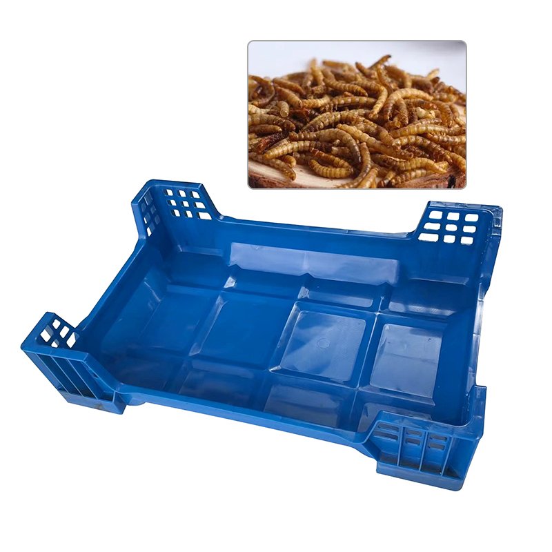 Plastic Insect Breeding Box