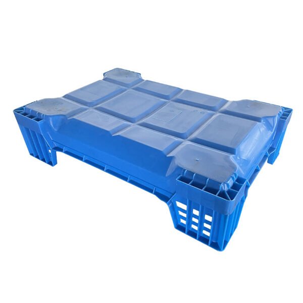 mealworm breeding box