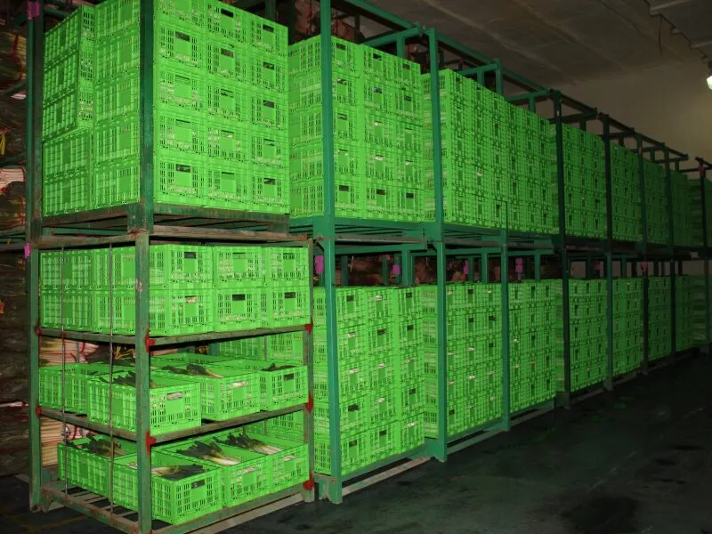 Green plastic crates in backroom inventory management, stacked on racks.