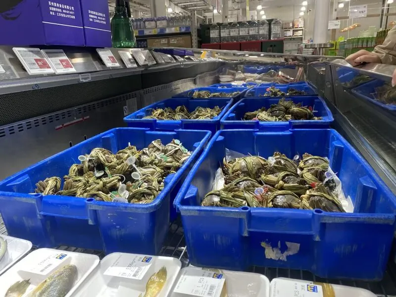 Blue plastic crates storing crabs in a cold chain, showcasing cold storage suitability.