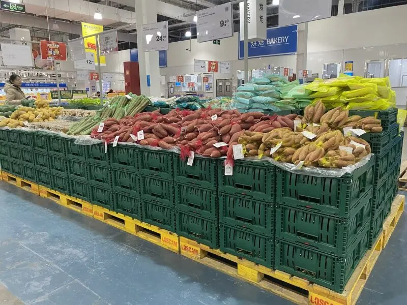 Green plastic crates displaying vegetables at a farmers' market, demonstrating market distribution use.