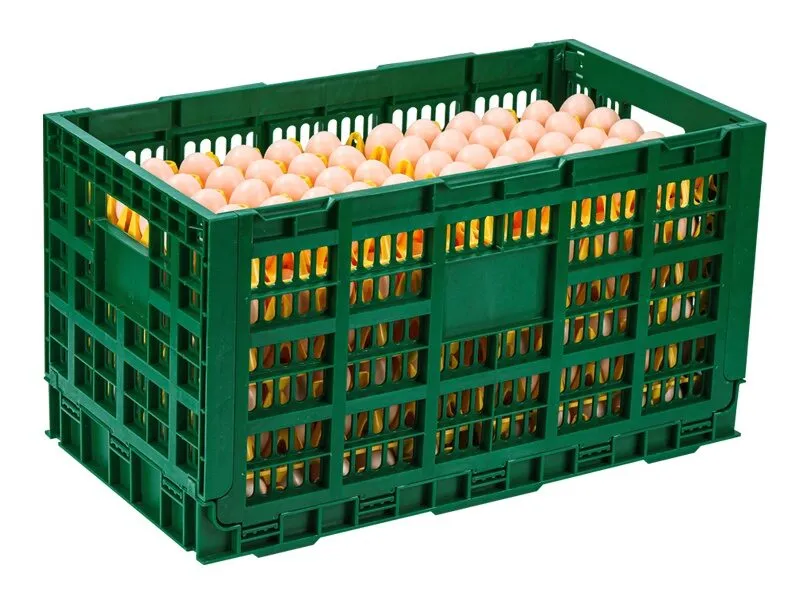 Green plastic egg crate, filled with eggs, for poultry transport.