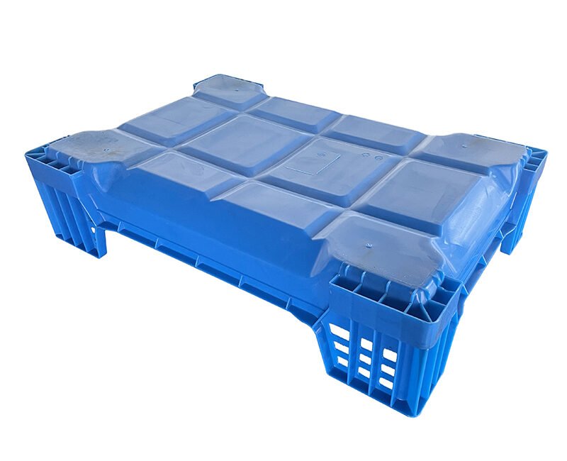 insect breeding tray